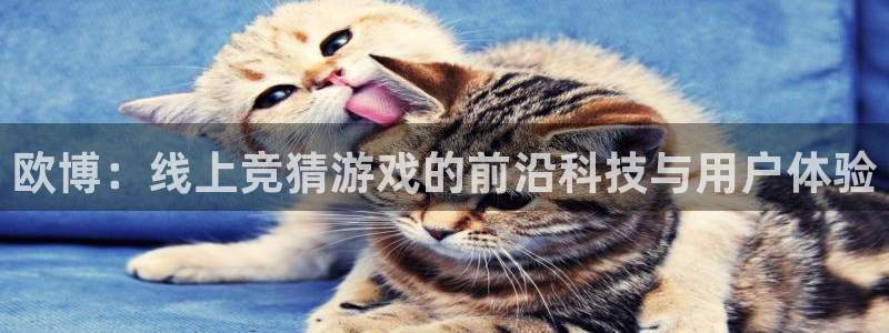 壹号注册入口app下载