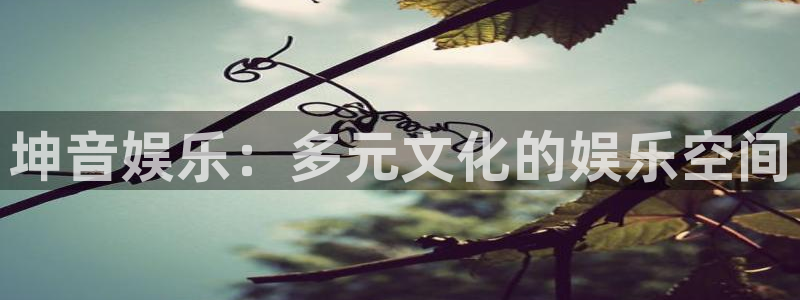 壹号电子娱乐app下载安装最新版本