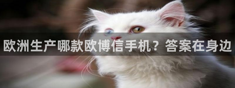 壹号娱乐app