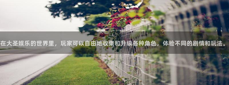壹号娱乐强制退款流程详解