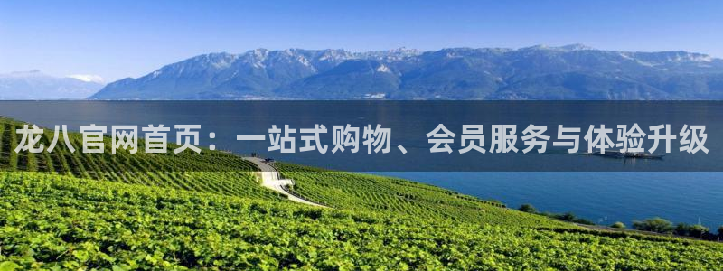 壹号娱乐官方网站下载