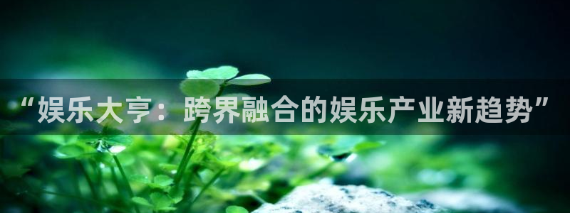 壹号注册入口app下载