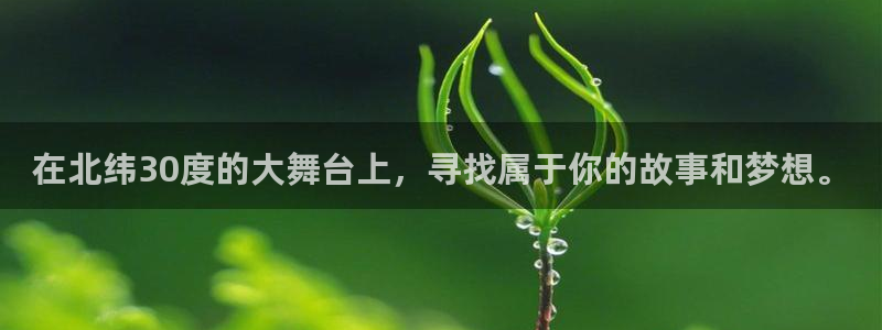 壹号大舞台28国际大舞台