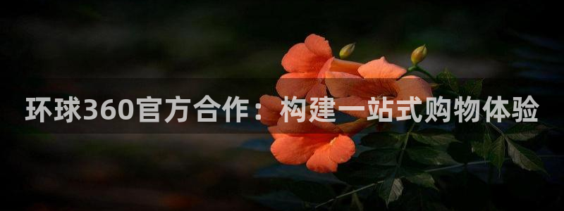 壹号娱乐app下载
