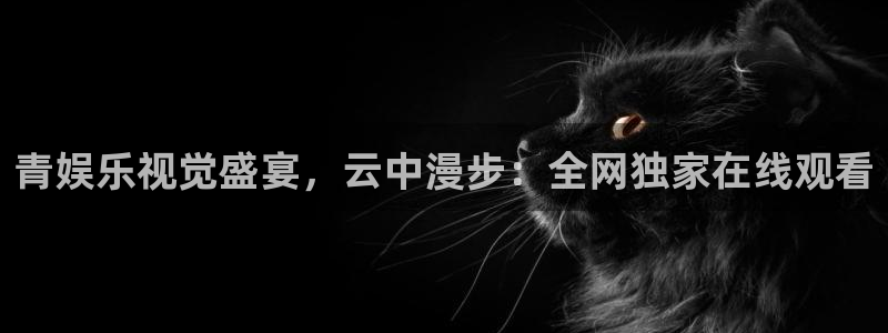 壹号娱乐app下载安装