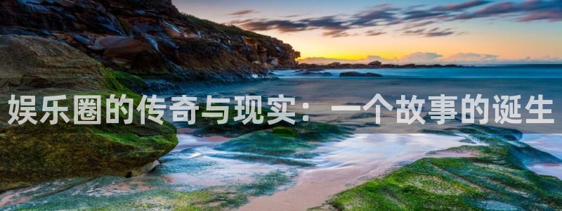壹号top娱乐