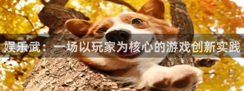 壹号娱乐官网