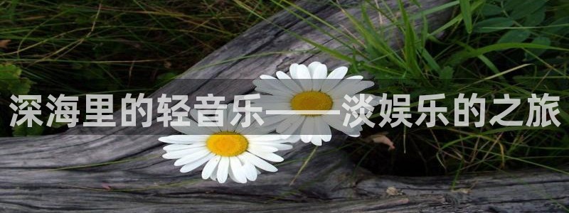 壹号app下载