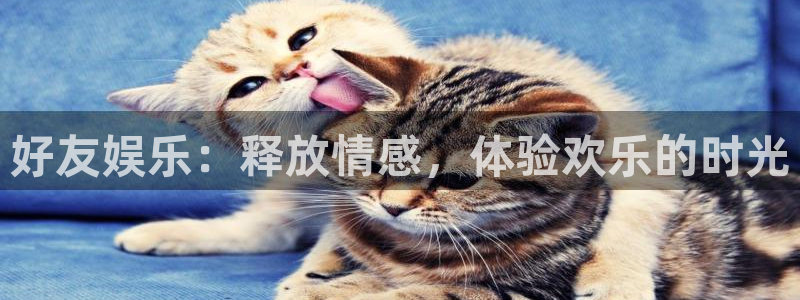 壹号玩家app下载