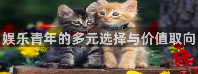 壹号电子娱乐app下载安装