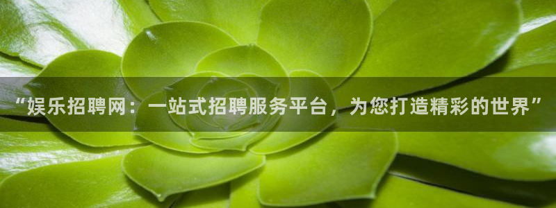 壹号娱乐吧