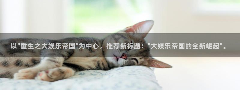 壹号娱乐app