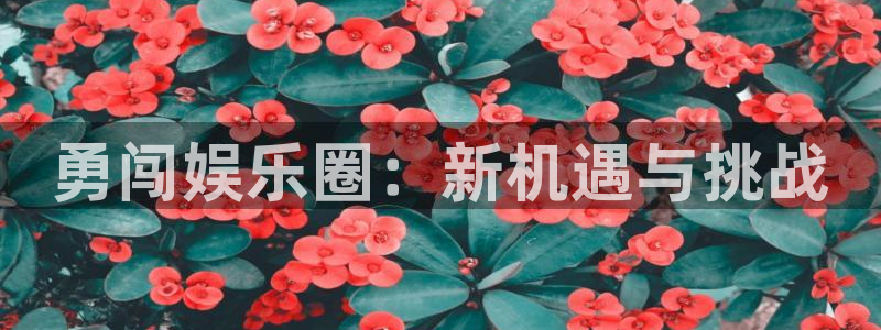 壹号电子娱乐app