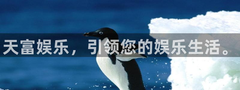 壹号娱乐官网入口：天富娱乐，引领您的娱乐生活。