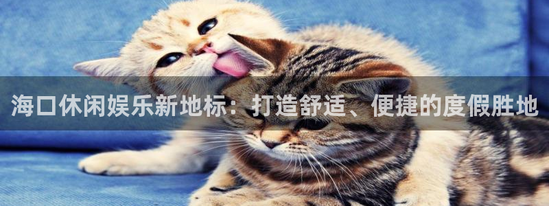 壹号娱乐充值怎么退款：海口休闲娱乐新地标：打造舒适、便捷的度假胜地