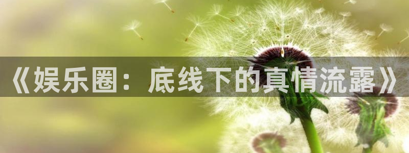 壹号app官方登录入口下载：《娱乐圈：底线下的真情流露》
