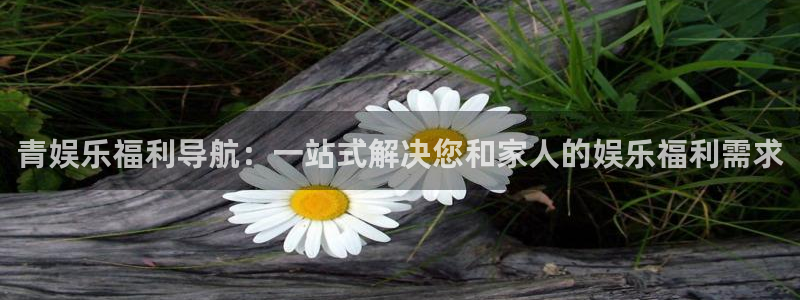 壹号大舞台：青娱乐福利导航：一站式解决您和家人的娱乐福利需求