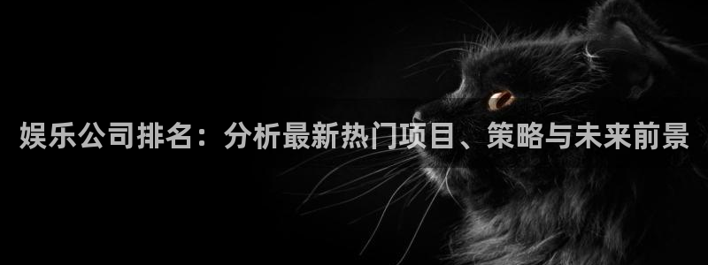 壹号娱乐官方app下载安装：娱乐公司排名：分析最新热门项目、策略与未来前景