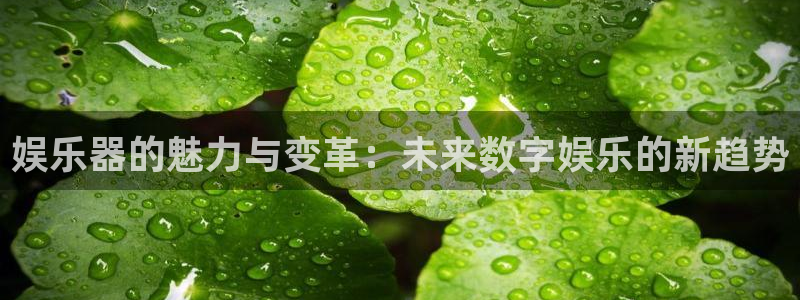 壹号娱乐app下载安装：娱乐器的魅力与变革：未来数字娱乐的新趋势