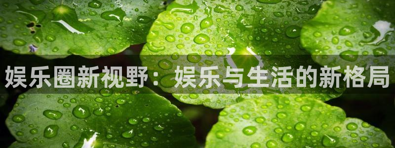 壹号娱乐 - ng大舞台,有梦你就来：娱乐圈新视野：娱乐与生活的新格局
