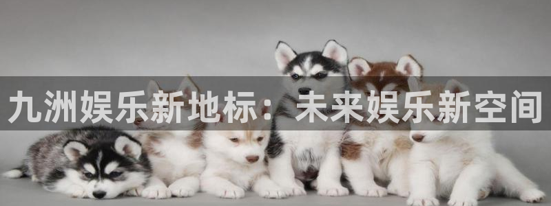 下载壹号娱乐app：九洲娱乐新地标：未来娱乐新空间