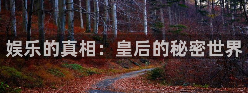 壹号娱乐科技赋能,让平台更有趣：娱乐的真相：皇后的秘密世界