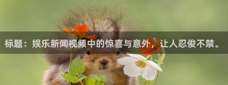 壹号平台下载安装：标题：娱乐新闻视频中的惊喜与意外，让人忍俊不禁。