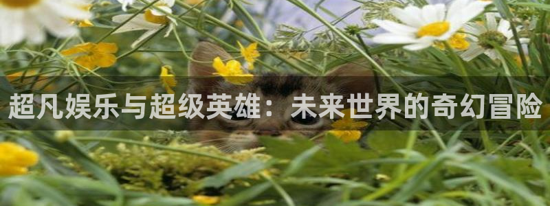 壹号娱乐,apk.：超凡娱乐与超级英雄：未来世界的奇幻冒险