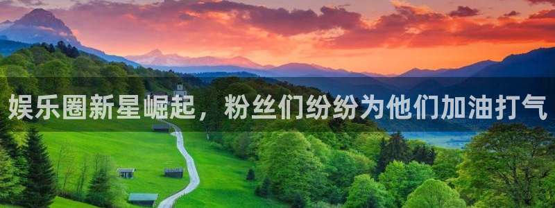 壹号娱乐.com：娱乐圈新星崛起，粉丝们纷纷为他们加油打气