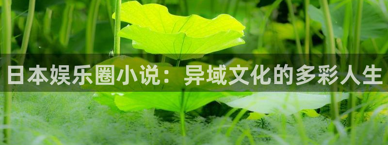 壹号大舞台怎么下载：日本娱乐圈小说：异域文化的多彩人生