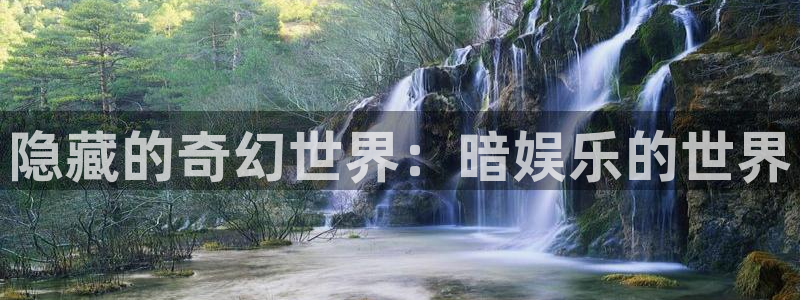 壹号大舞台28国际大舞台：隐藏的奇幻世界：暗娱乐的世界
