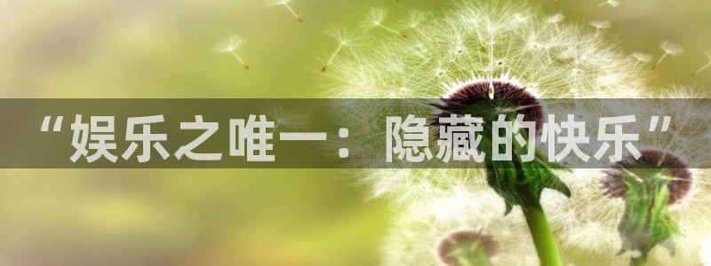 壹号大舞台：“娱乐之唯一：隐藏的快乐”