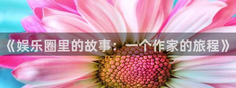 壹号平台下载安装：《娱乐圈里的故事：一个作家的旅程》