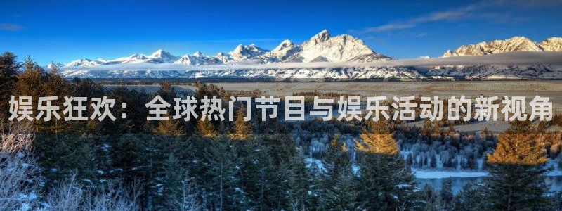 壹号玩家app下载：娱乐狂欢：全球热门节目与娱乐活动的新视角