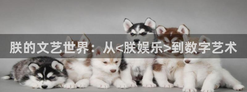 壹号娱乐：朕的文艺世界：从<朕娱乐>到数字艺术