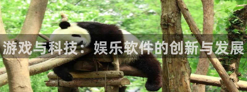 壹号娱乐下载：游戏与科技：娱乐软件的创新与发展