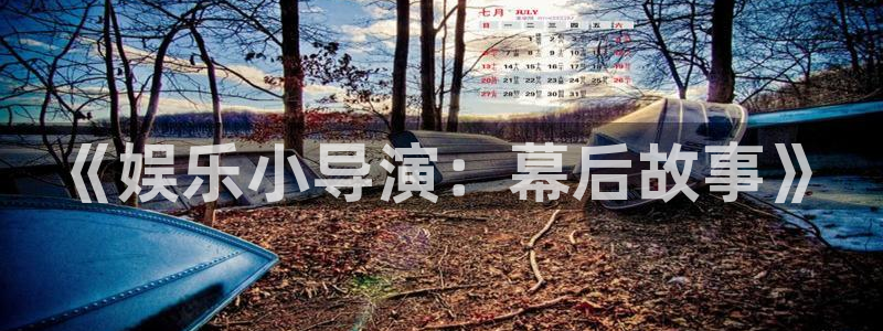 壹号娱乐平台app下载：《娱乐小导演：幕后故事》